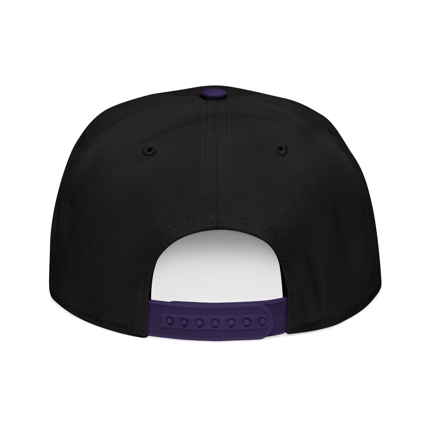 Little Fish Snapback Hat