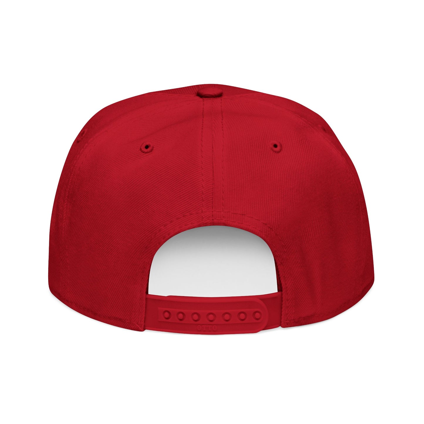 Little Fish Snapback Hat
