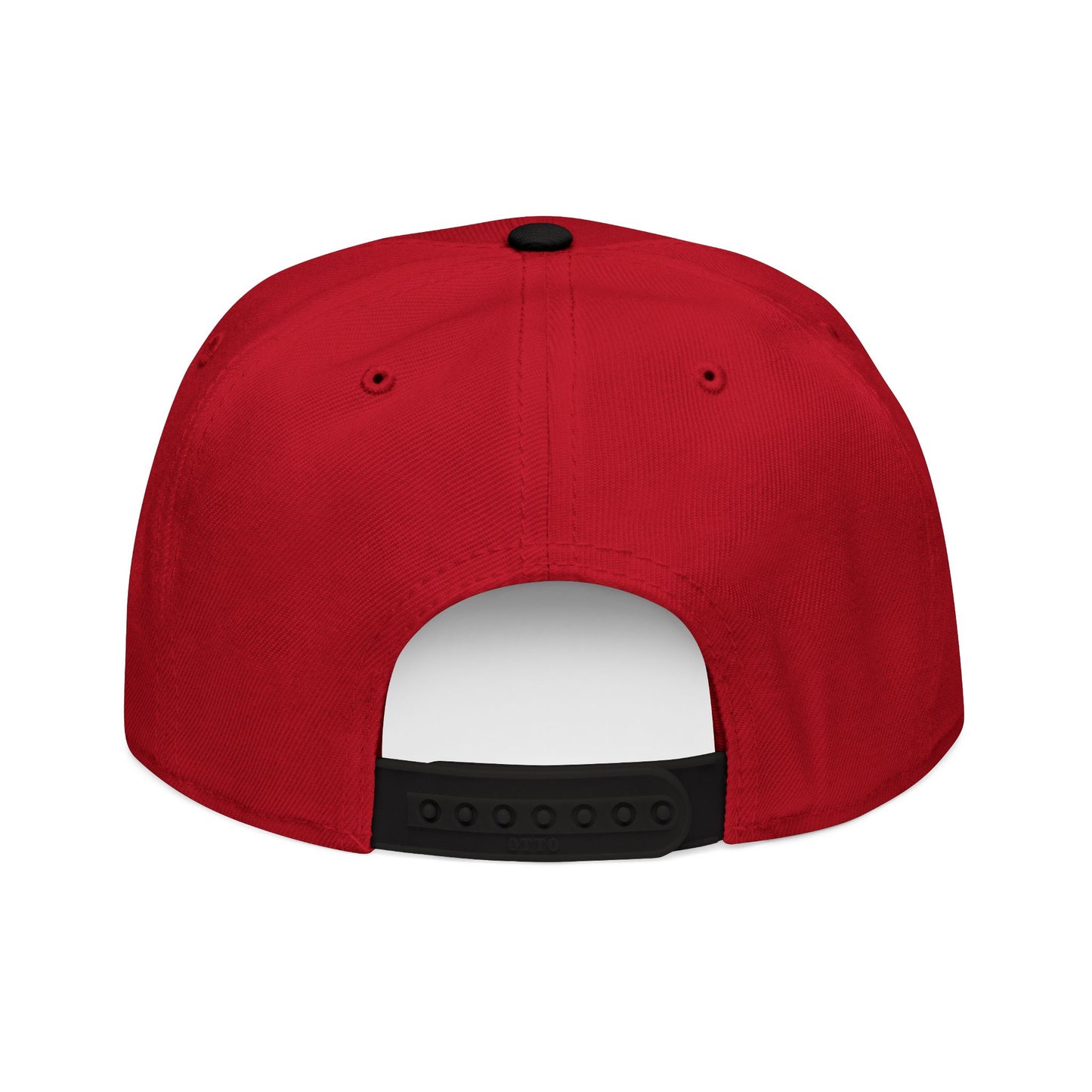 Little Fish Snapback Hat