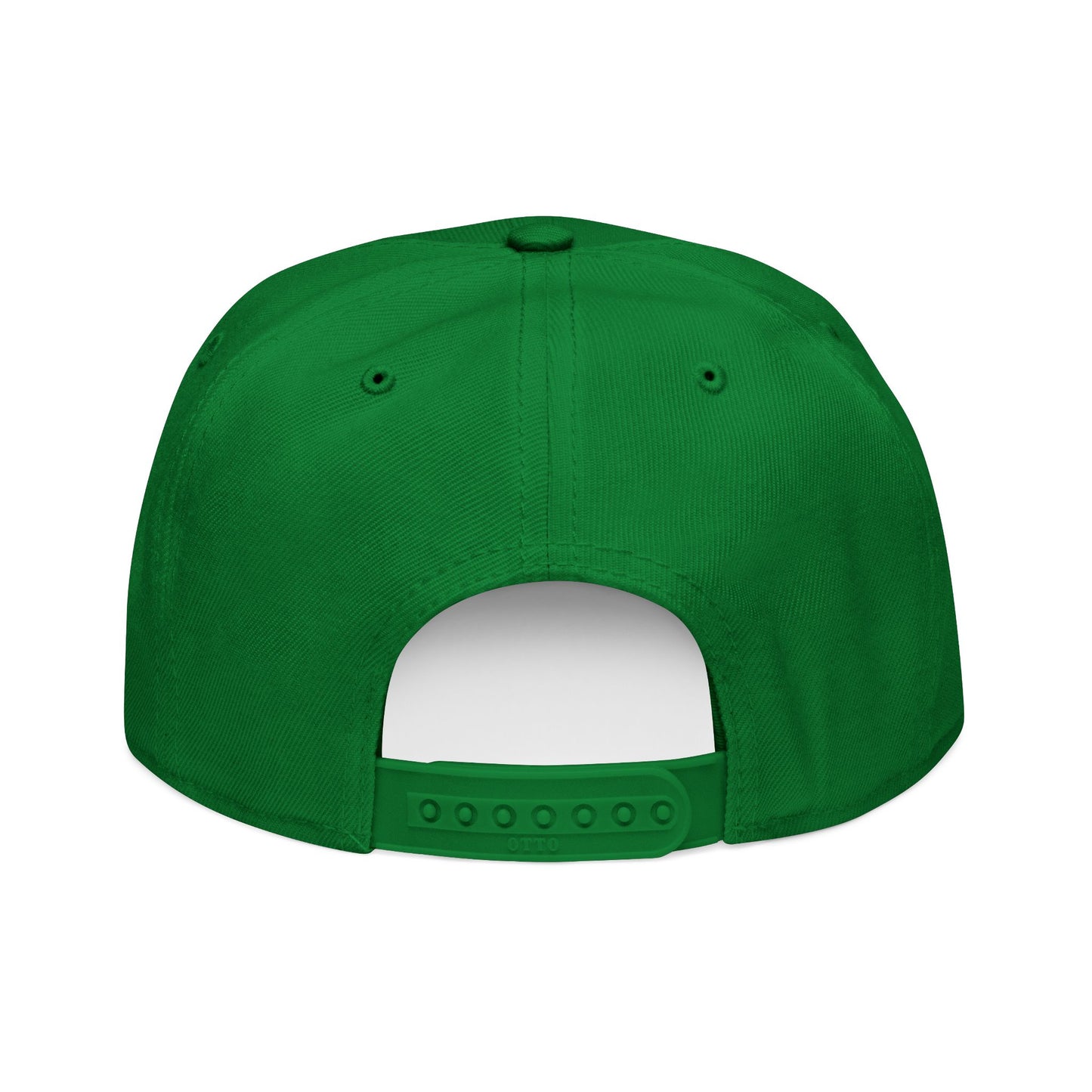 Little Fish Snapback Hat