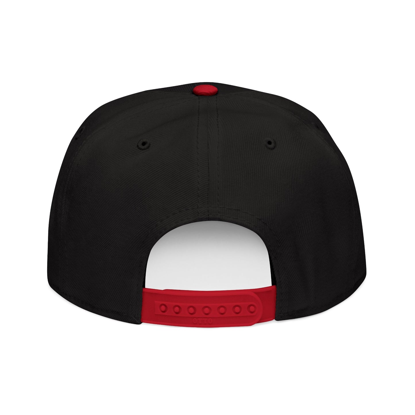 Little Fish Snapback Hat