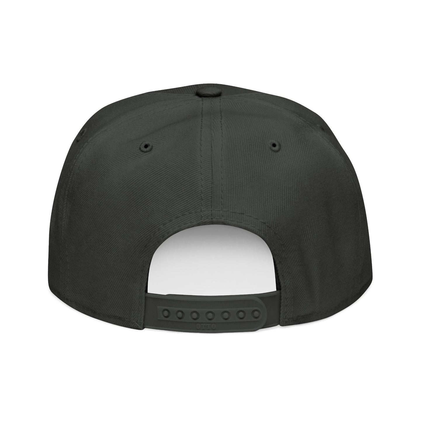 Little Fish Snapback Hat