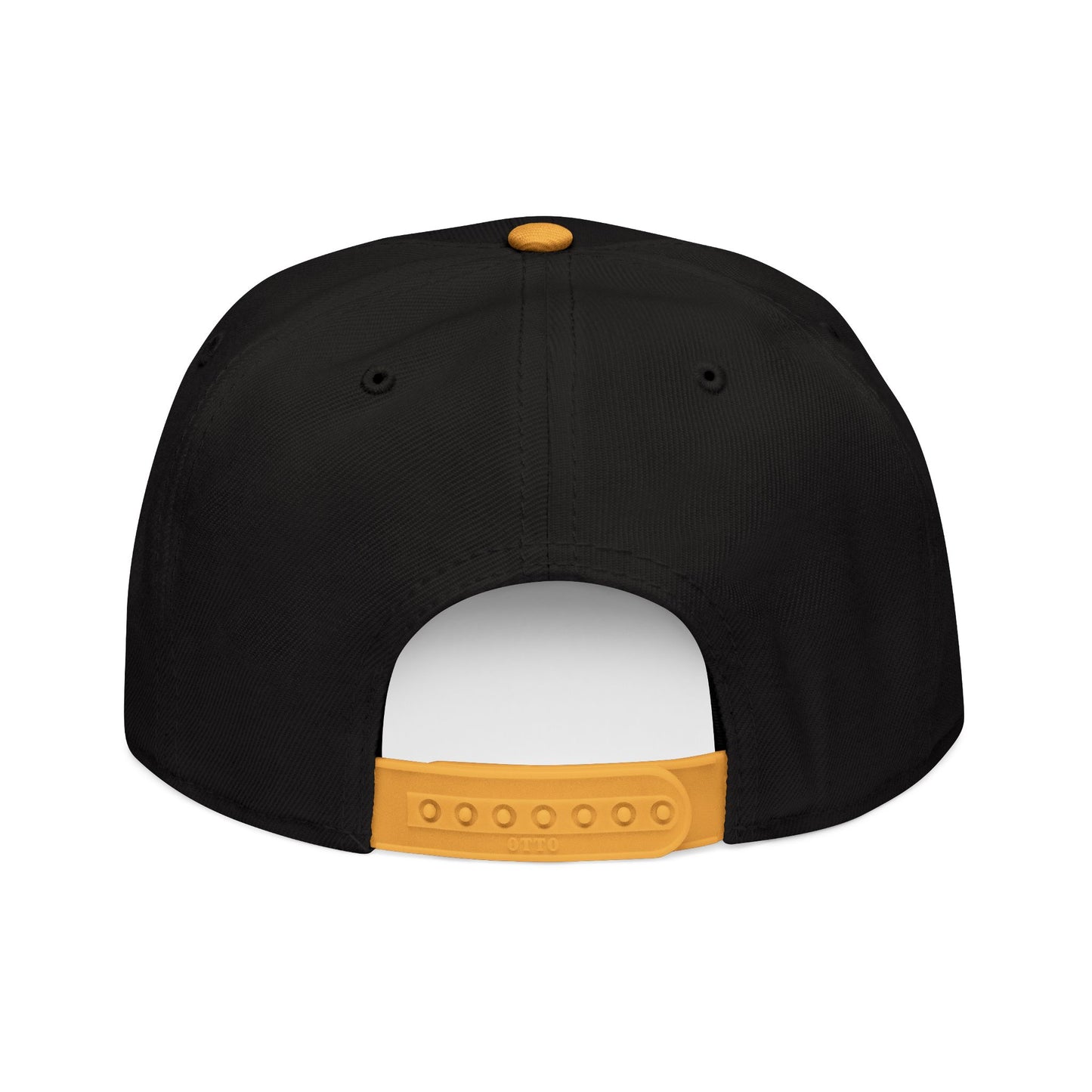 Little Fish Snapback Hat