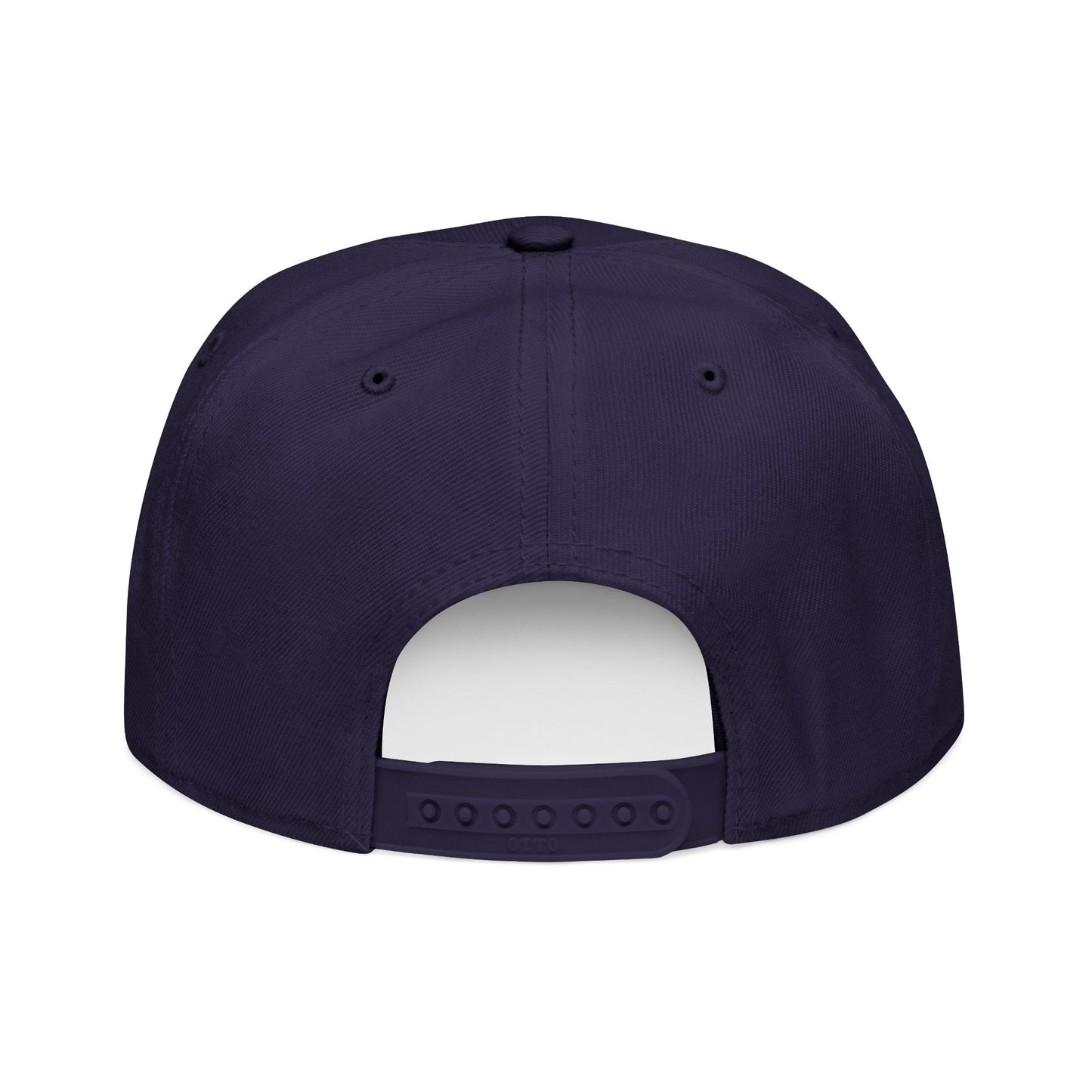 Little Fish Snapback Hat