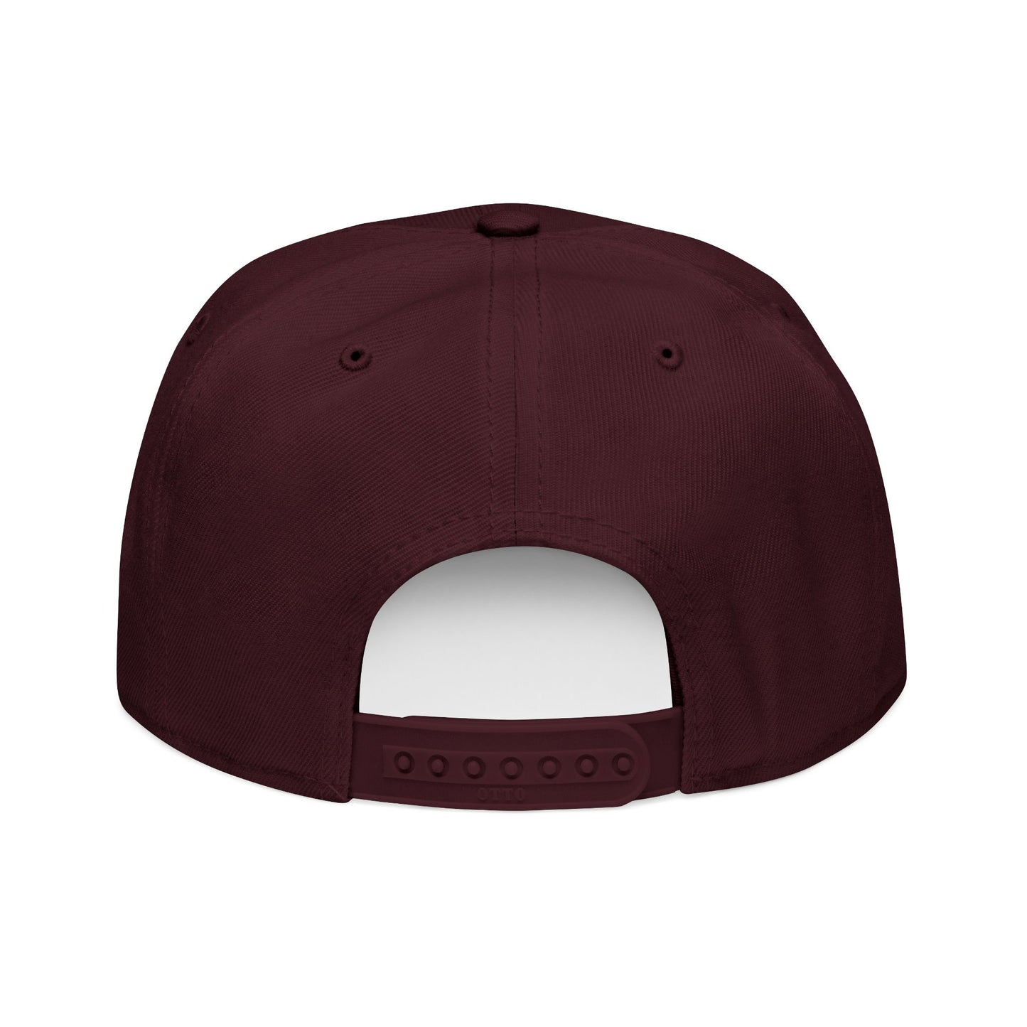 Little Fish Snapback Hat