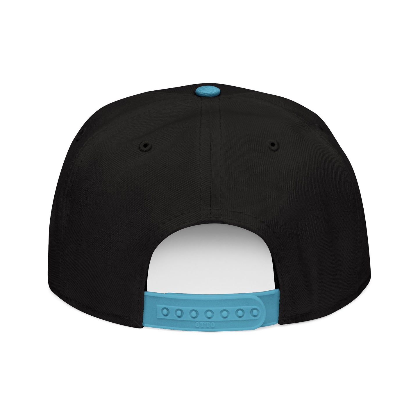 Little Fish Snapback Hat