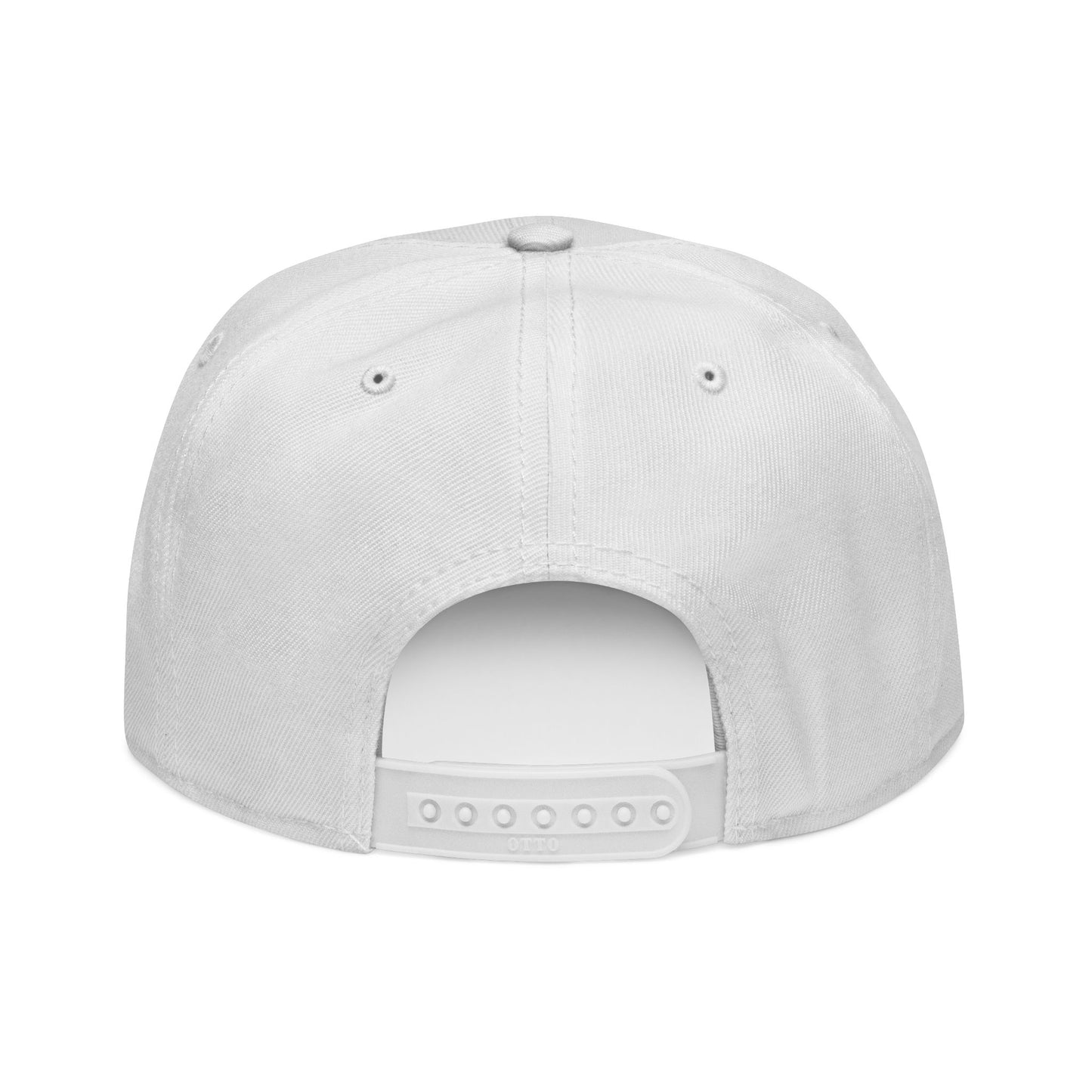 Little Fish Snapback Hat