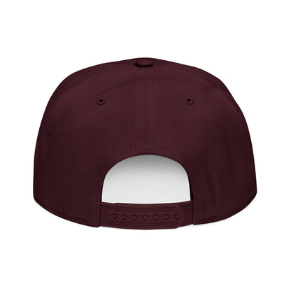 Little Fish Snapback Hat