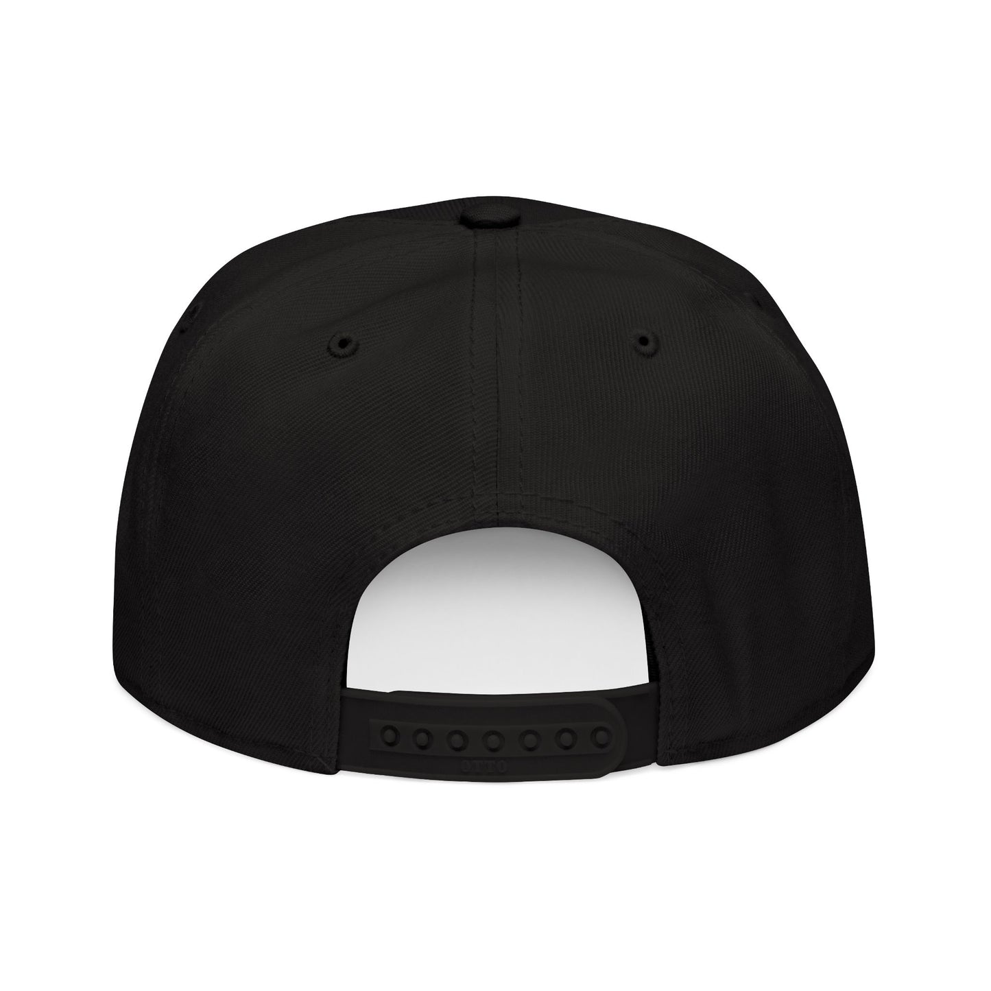 Little Fish Snapback Hat